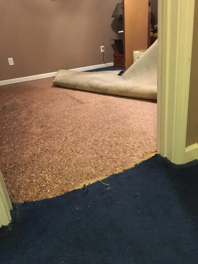 Carpet pad removal revealing water damage during Drying & Dehumidification in Tanaina