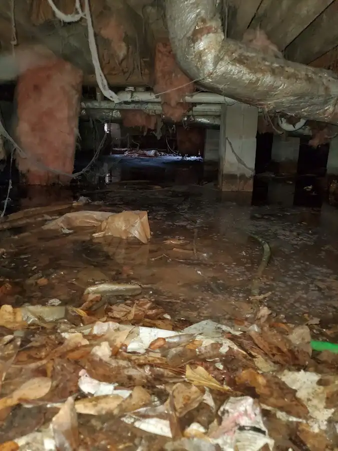 Crawl space flood assessment for Leak Detection & Repair in Tanaina