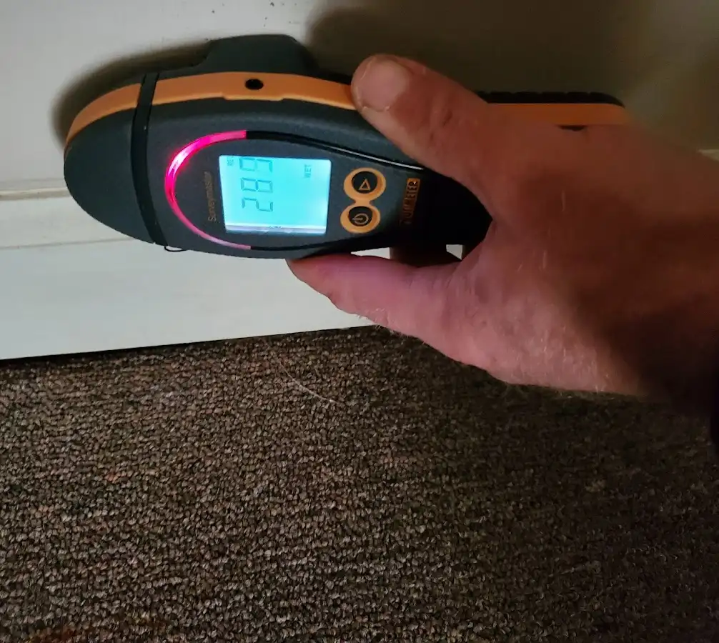 Moisture detection at baseboard during Mold Inspection & Testing in Tanaina